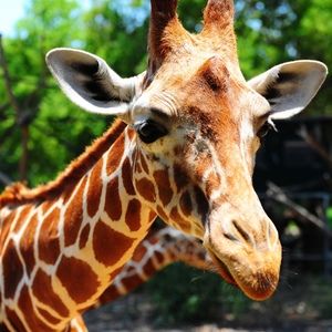 Meet your Posher, Nj